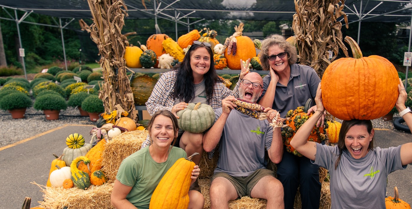 Fall Season is here